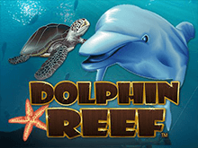 Онлайн игровой автомат Dolphin Reef в казино